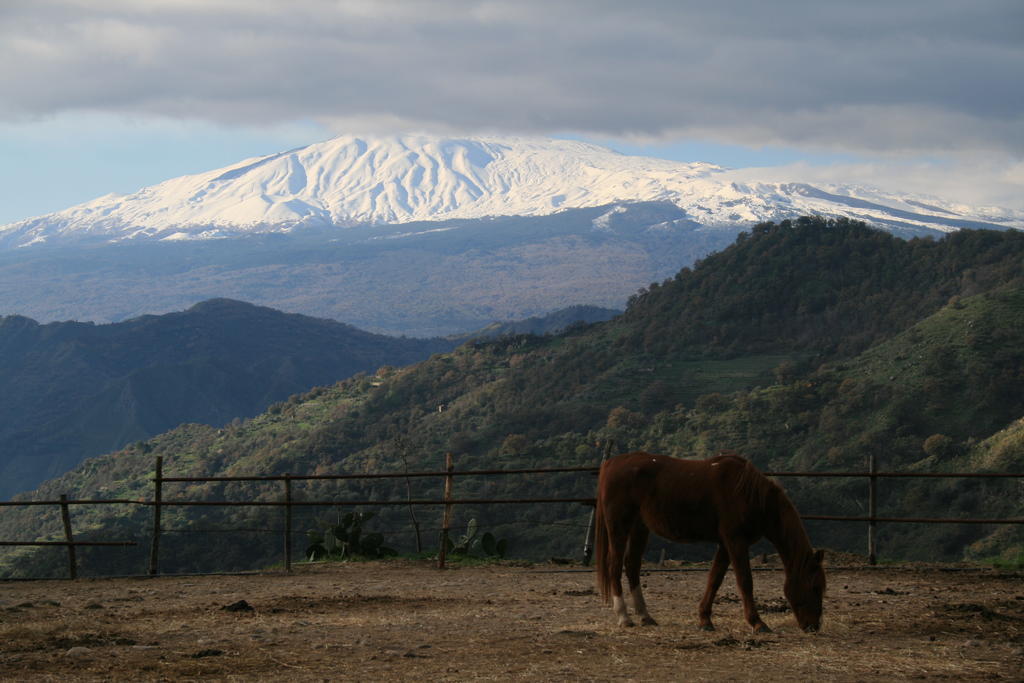 Agriturismo San Cataldo Motta Camastra Zewnętrze zdjęcie